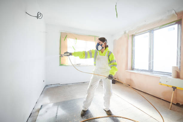 Best Post-Construction Mold Inspection  in Harbor Beach, MI