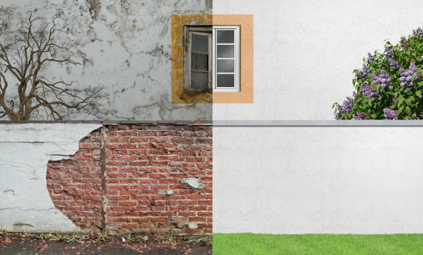 Best Industrial Mold Remediation  in Harbor Beach, MI